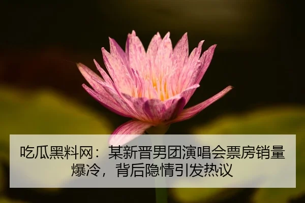 吃瓜黑料网：某新晋男团演唱会票房销量爆冷，背后隐情引发热议